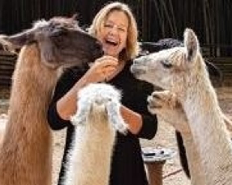 Rescued Llama & Alpaca Farm Experience in Atlanta