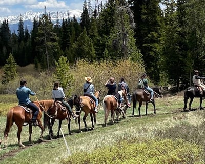 2-Hour Guided Horseback Trail Ride in Granby