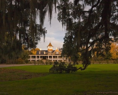 Explore Magnolia Plantation & Gardens Guided Tour