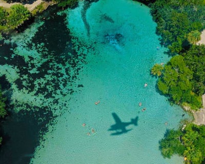 Seaplane Tour Tavares: St. Johns River Wildlife