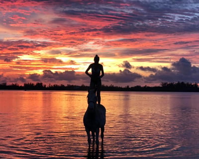 Bradenton Sunset Beach Horseback Ride