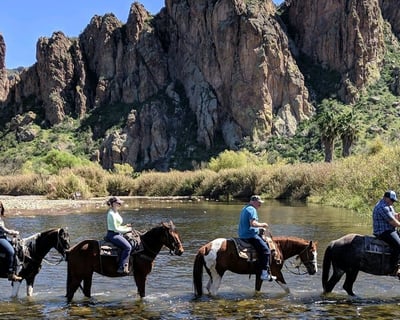 1.5-Hour Desert Horseback Ride in Tonto National Forest