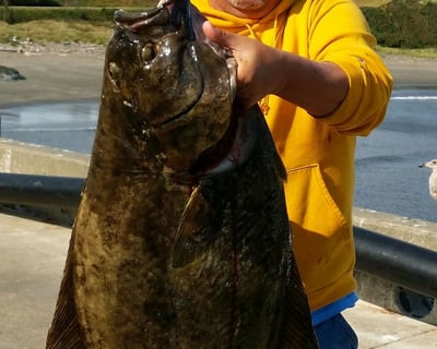 Guided Halibut & Rockfish Fishing Charter in Charleston