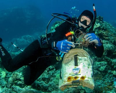 Dive Against Debris Course in Kailua-Kona
