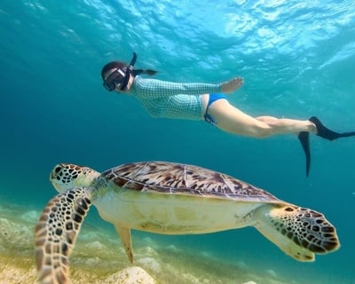 Private 3- to 6-Hour Anna Maria & Longboat Key Boat Tour