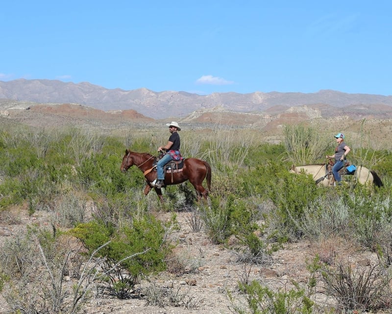 Full-Day Horseback Ride in Big Bend Ranch State Park