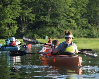 Guided Wildlife Kayak Tour at Odiorne Point