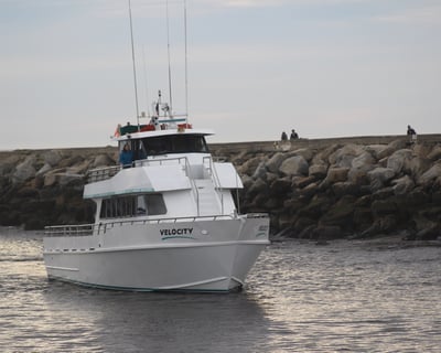 Fish a 4.5-Hour Nearshore Cod Trip in Santa Cruz