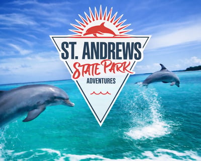 2-Hour Panama City Beach Dolphin Cruise