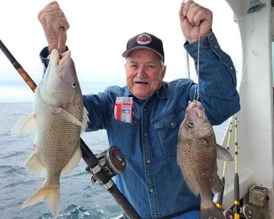 4-Hour Private Fishing Charter in North Myrtle Beach