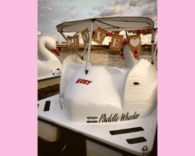 Date Night Pedal Boat Rental in Tempe