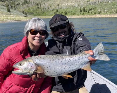 4-Hour Guided Fly & Light Tackle Fishing in Park City