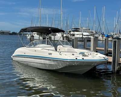 Anna Maria Island Hurricane 237 Boat Rental
