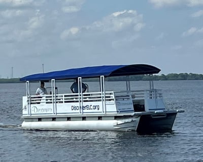 Wildlife Pontoon Tour of Sebastian Inlet
