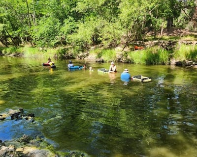 4-Hour Guided Fossil Dig On Peace River In Wauchula