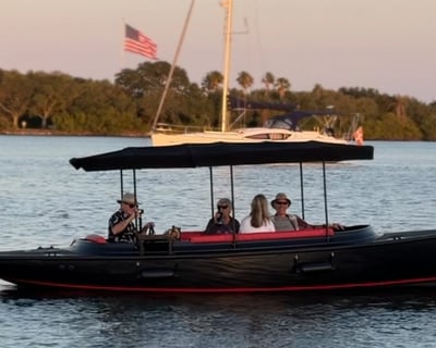 30-Minute Electric Boat Cruise in Vero Beach