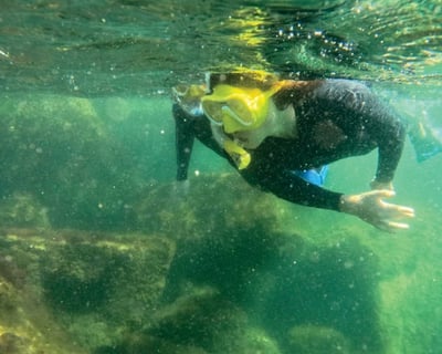 1-1.5-Hour Guided Snorkeling Tour at St. Andrews State Park