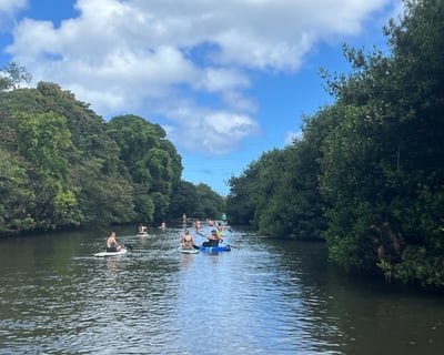 Learn to SUP & Paddle Haleiwa's Calm River