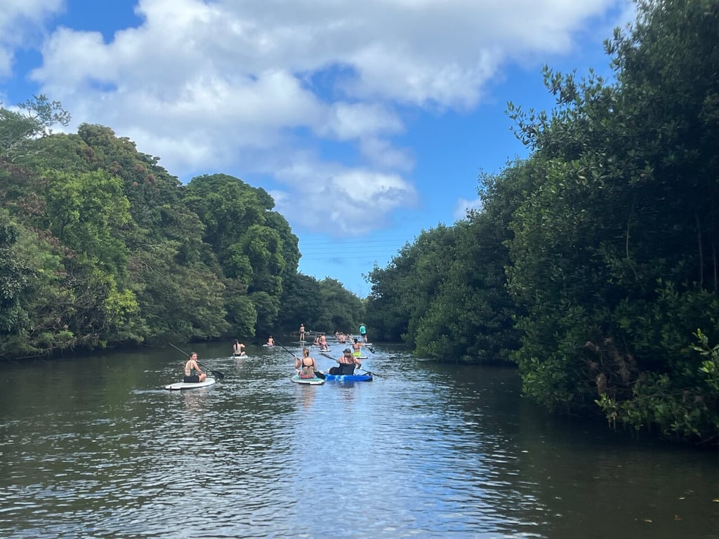 Haleiwa River Stand Up Paddleboard Tour