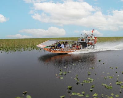 Everglades 60-Minute Airboat Tour & Alligator Show