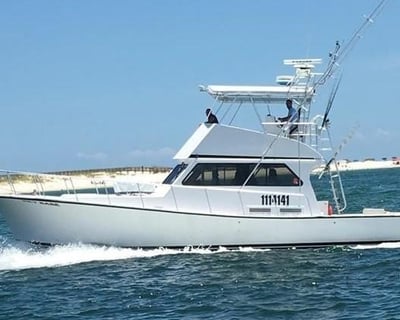Fishing Charter in Orange Beach on a 46' Newton