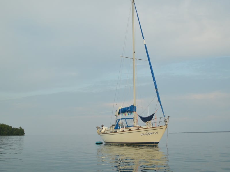 Gallery image 2
