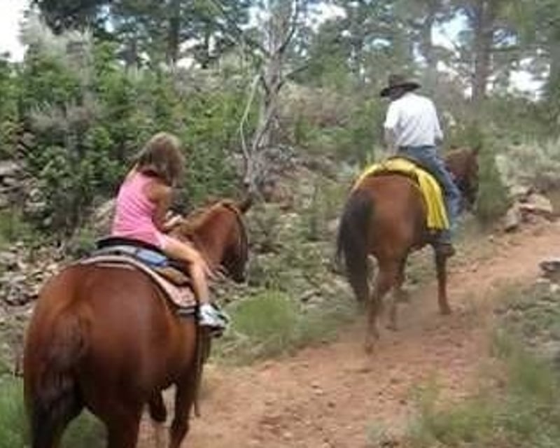 Kaibab National Forest Horseback Ride Near Grand Canyon