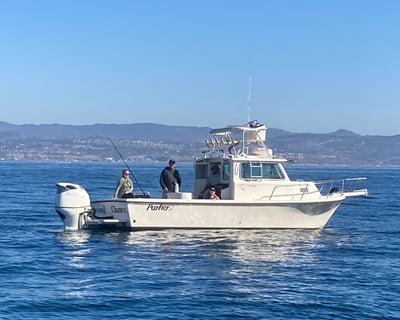 Dana Point Calico Bass Fishing Charter