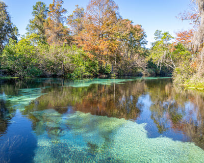 Private Weeki Wachee Kayak & Canoe Launch