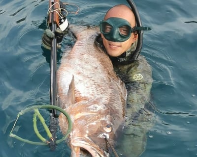 7-Hour Spearfishing Training in Key Biscayne
