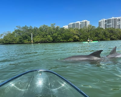 Naples Clear Kayak Eco Tour - Wiggins Pass