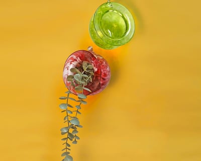 Philadelphia Glassblowing Air Planter Workshop