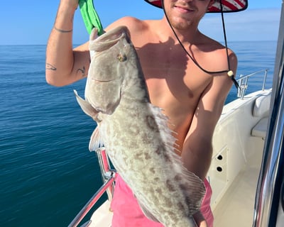 4-Hour Guided Fishing Charter Near Sanibel