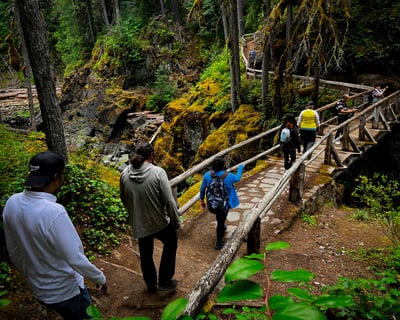 Private Guided Tour of Mt. Rainier National Park