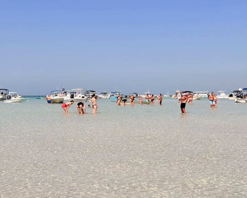 Private Key West Sandbar Hopping Charter to Snipes Point
