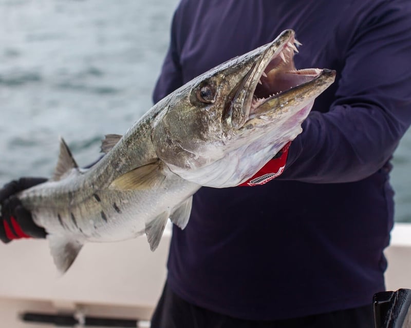 Private Nearshore Fishing Charter in Pompano Beach