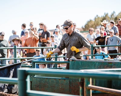 Buffalo Corrals Jeep Tour
