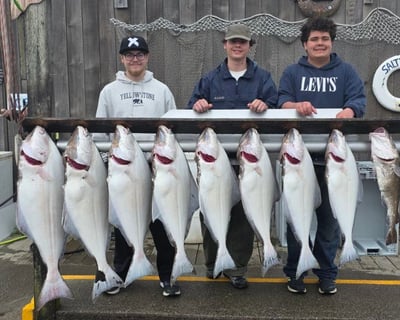 Halibut Fishing Charter in Homer