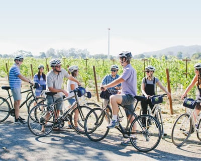 Private Napa Valley Bike Tour with Guide and Picnic Lunch