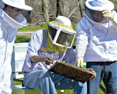 Private Beekeeping Lesson in Navasota