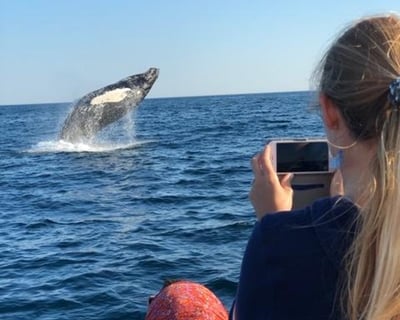 Portland Adventure Whale Watch