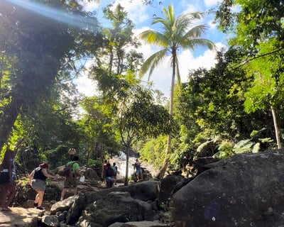 Guided El Yunque Rainforest Waterslide Tour