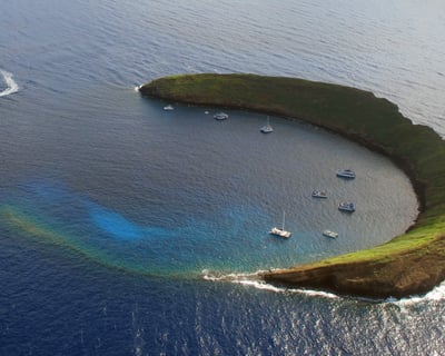 Dive Molokini Backwall 2-Site Charter From Kihei