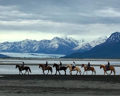 3-Hour Summer Horseback Trail Ride in Palmer