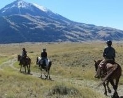 1-Hour Guided Horseback Ride in Pray