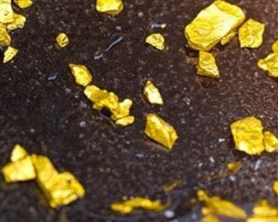 30-Minute Gold Panning in Fish Camp