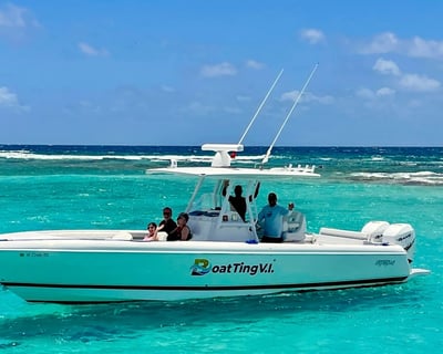 Full-Day British Virgin Islands Charter