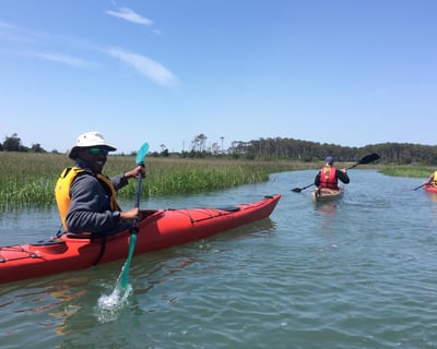 Eastern Shore Wildlife Refuge and Barrier Island Tour