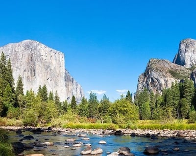 Yosemite National Park and Giant Sequoias Private Tour