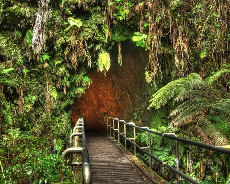 Private Hawaiʻi Volcanoes National Park Tour from Hilo